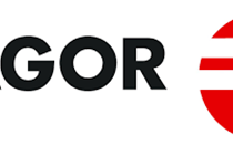 FAGOR LOGO